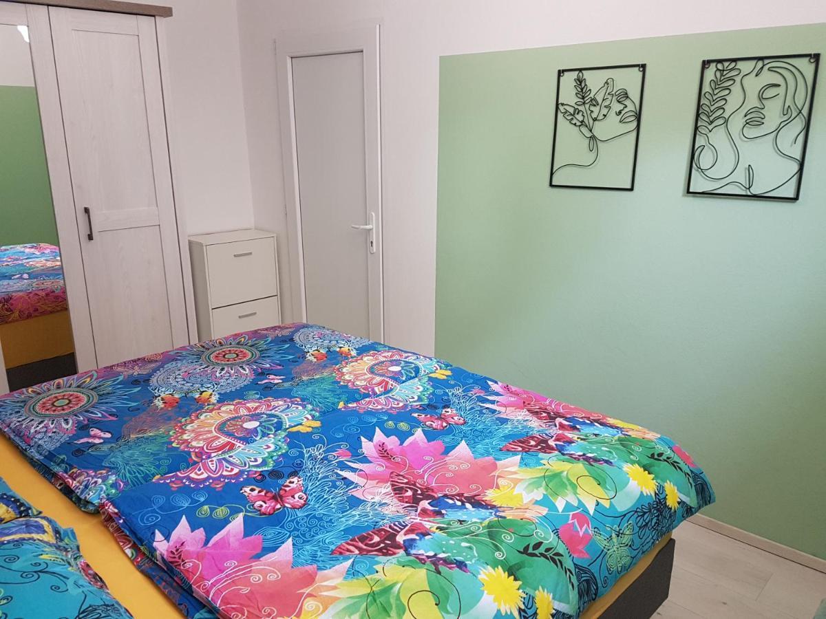 Apartma Irena ノヴィ・ヴィノドロスキー エクステリア 写真